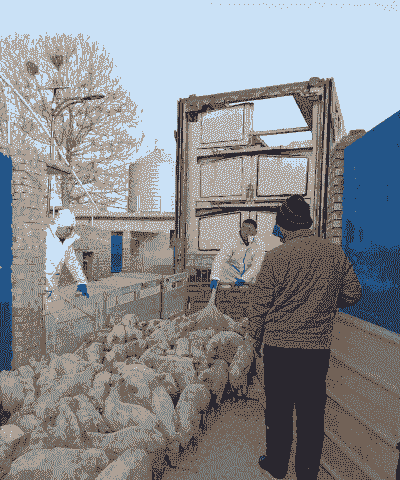 养殖场安全小视频怎么拍