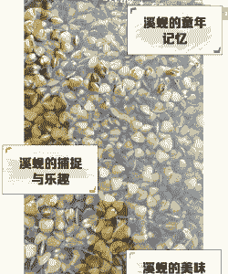 鲈鱼最大的多少斤