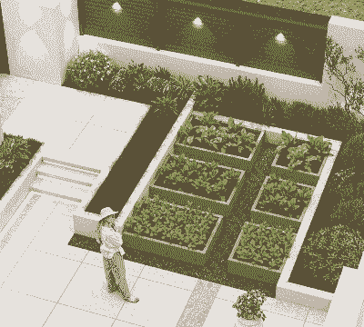 一亩地怎么建院子养殖场