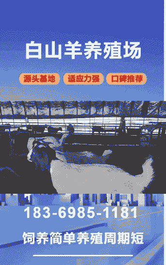 渭南新品种养殖羊怎么样