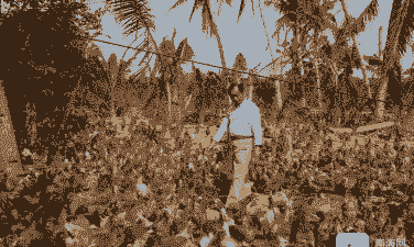 在海南的养殖业怎么样啊