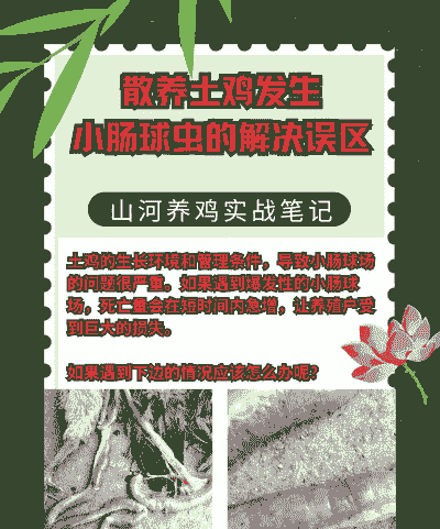 养殖场里面有异响怎么办