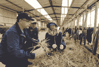 在宁夏搞种养殖业怎么样