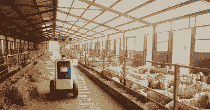 互联网转行养殖业怎么样