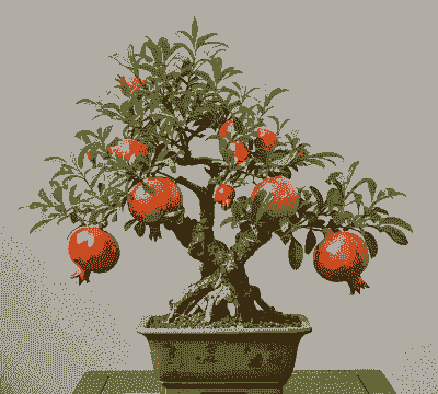 多子多福怎么养殖