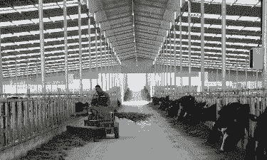 在城市怎么开一个养殖场