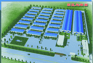 开一个养殖场怎么样