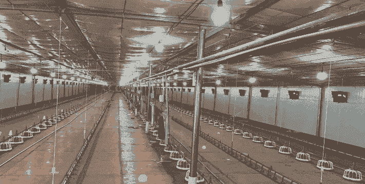 怎么样开办一个养殖场地