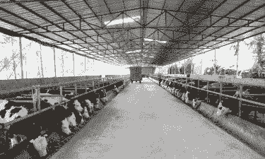 兴文县养殖业怎么样了