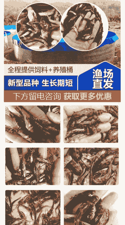 高密度养殖黄颡鱼怎么样