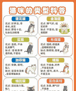 5个月猫带回家怎么养殖