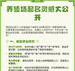 求一个养殖场名字怎么取