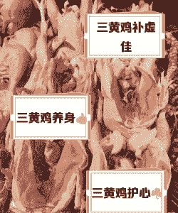 养殖中的三黄鸡怎么样做