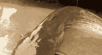 四月份怎么养殖大鲶鱼