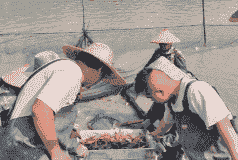 去东南亚做养殖也怎么样