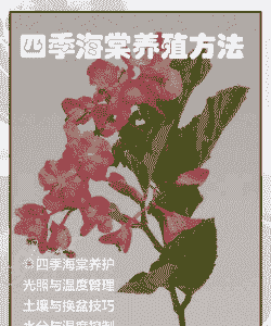 威海四季海棠养殖怎么样