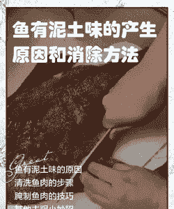 养殖鱼有泥味怎么回事儿