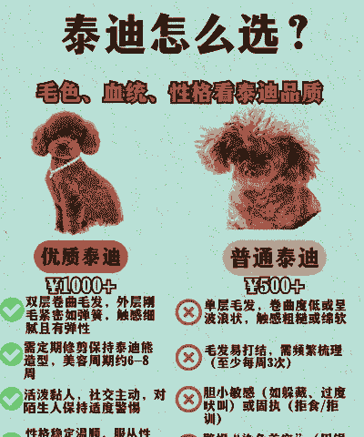 养殖户挑狗泰迪怎么办