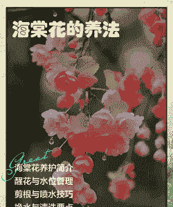 三月份海棠花怎么养殖