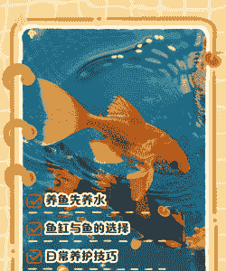 五月份怎么养殖金鱼水深