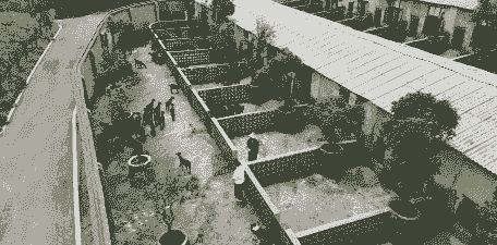 建一百头羊养殖场怎么样