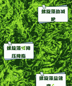 养殖场里有螺旋藻怎么办