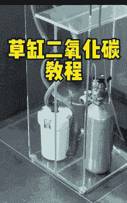 水草养殖怎么放二氧化碳