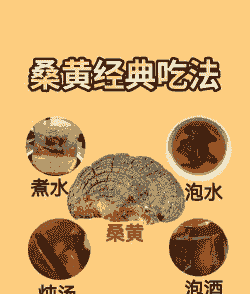 桑黄养殖第一步怎么做