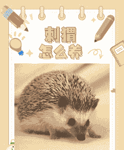 开一家刺猬养殖场怎么样