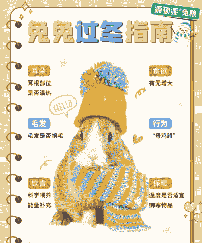 兔子冬天怎么养殖