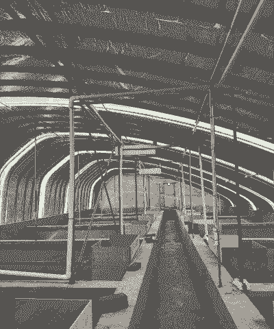 养殖大棚怎么养殖