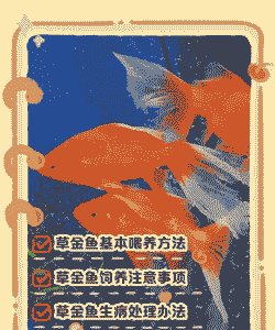 草鱼养殖怎么养殖