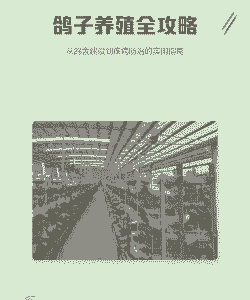 养殖乳鸽怎么养殖