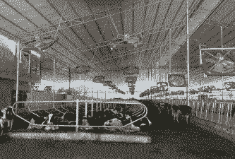 养殖牛栏怎么养殖