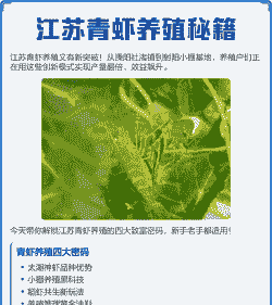 养殖青虾怎么养殖