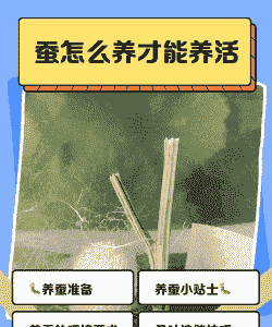 桑蚕养殖怎么养殖