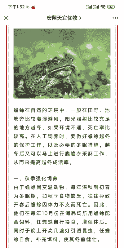 养殖蟾蜍怎么养殖