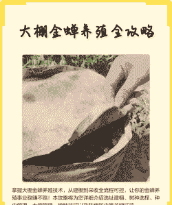 养殖蝉怎么养殖