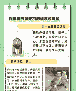 珍珠养殖怎么养殖