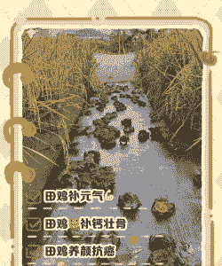 养殖田鸡怎么养殖