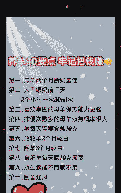 养殖牛羊怎么赚钱