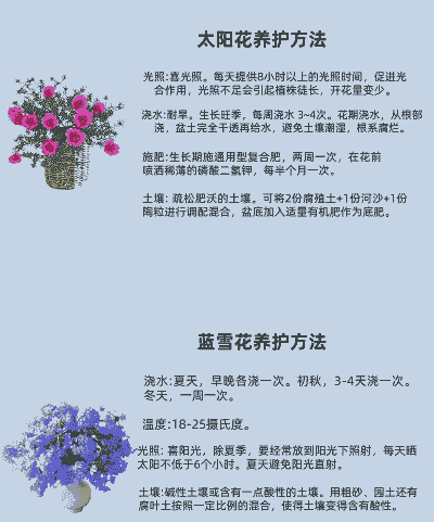怎么养殖各种花怎么养殖