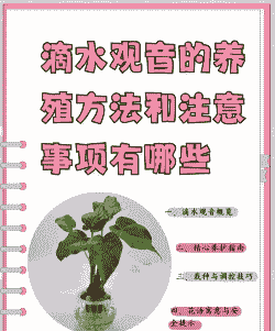 想怎么养殖就怎么养殖