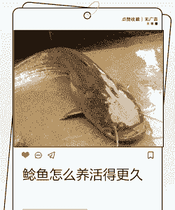 养殖冷水鲶鱼怎么养殖