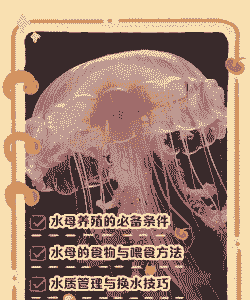 宿舍养殖水母怎么养殖