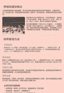 养殖山鸡该怎么养殖