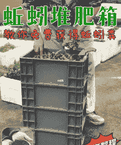 蚯蚓养殖箱怎么养殖