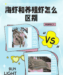 海洋养殖大虾怎么养殖