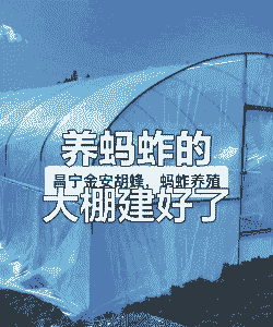 大棚养殖草虫怎么养殖