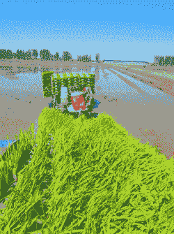 多肉如何养植 多肉如何养植